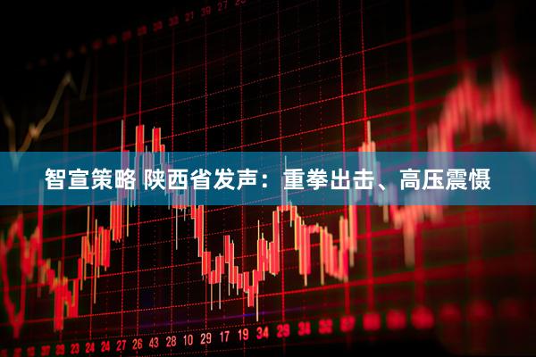 智宣策略 陕西省发声：重拳出击、高压震慑