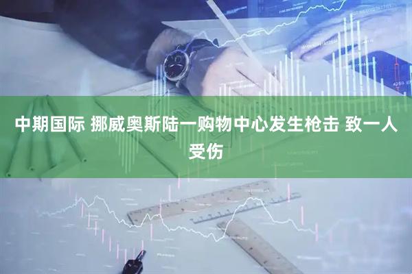 中期国际 挪威奥斯陆一购物中心发生枪击 致一人受伤