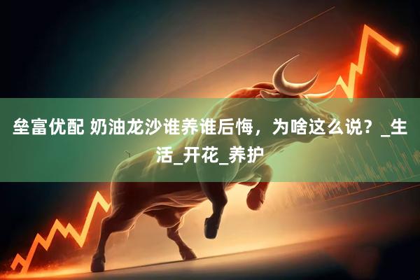 垒富优配 奶油龙沙谁养谁后悔，为啥这么说？_生活_开花_养护