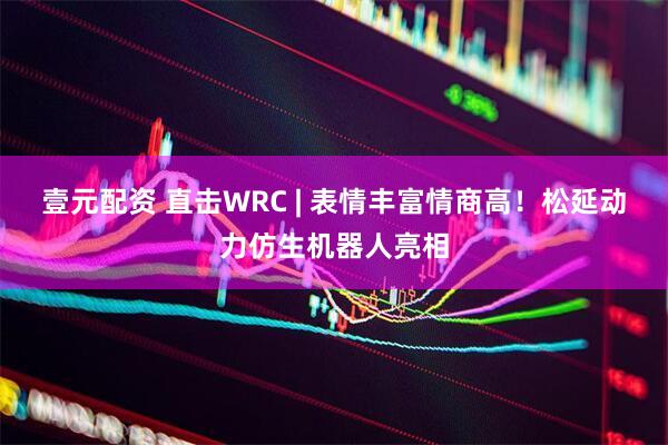 壹元配资 直击WRC | 表情丰富情商高！松延动力仿生机器人亮相