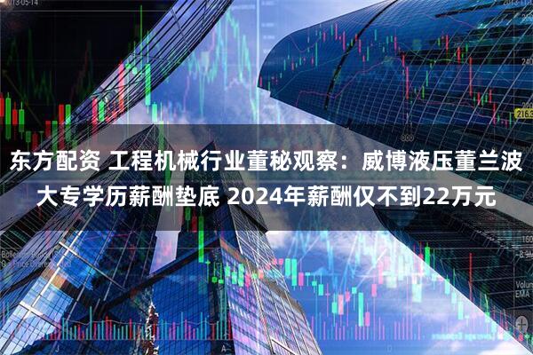 东方配资 工程机械行业董秘观察：威博液压董兰波大专学历薪酬垫底 2024年薪酬仅不到22万元